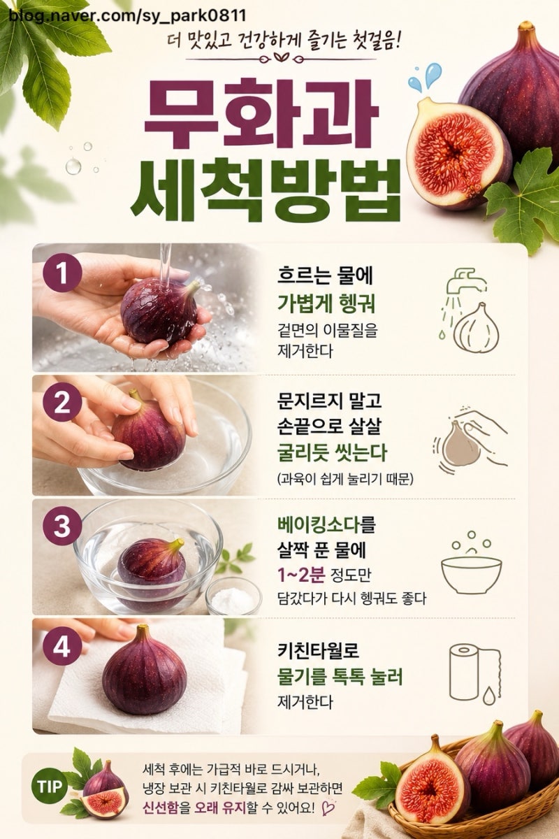 무화과 먹는 방법(feat. 크림치즈 무화과 토스트)