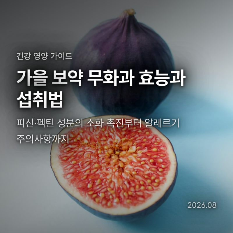 무화과 효능과 부작용, 피신 성분의 소화 촉진과 올바른 보관 섭취법
