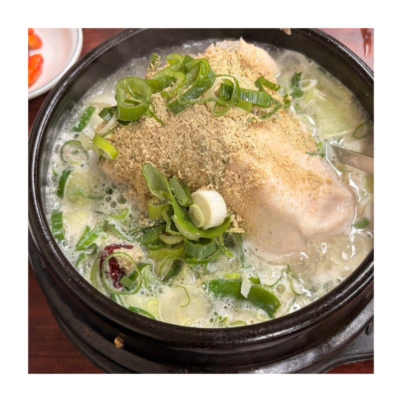 세종문화회관 맛집 장수한방삼계탕 | 전시 보고 들른 광화문 삼계탕