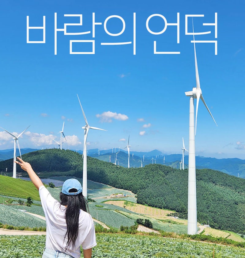 여름 국내 여행지 추천 강원도 태백 가볼만한곳 바람의언덕 가는법