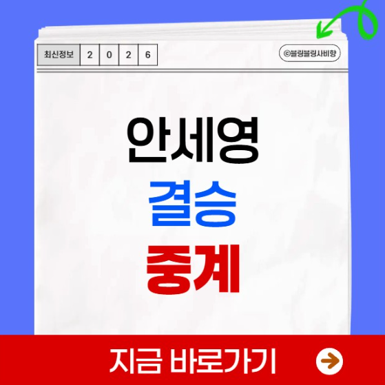 안세영 결승 중계 방송 채널 BWF 세계선수권대회 배드민턴 야마구치 대진