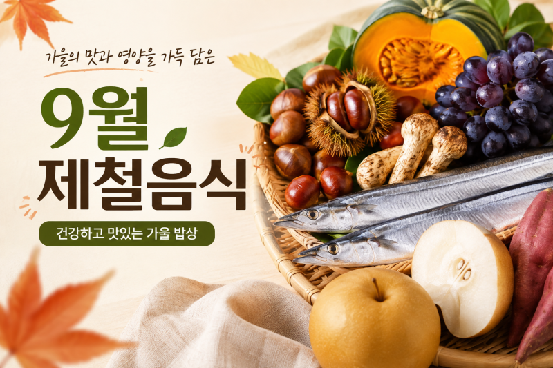 9월에는 뭐 먹지? 가을 제철 음식·과일·채소 한눈에｜우가차차486 이영자 제철 음식 달력