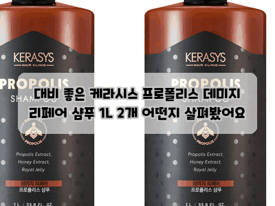 대비 좋은 케라시스 프로폴리스 데미지 리페어 샴푸 1L 2개 어떤지 살펴봤어요