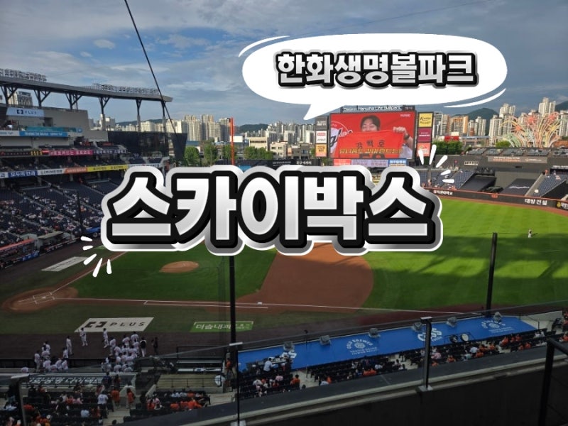대전 한화생명볼파크 한화이글스 스카이박스 직관