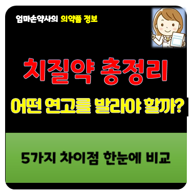 치질약 추천 종류 효과 약국 연고 좌약 먹는약 푸레파인 헤모렉스 디오스민 베니톨 치센