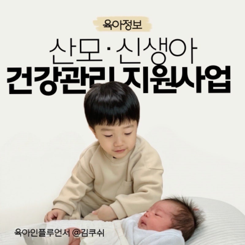 2026년 정부지원 산후도우미 산모신생아건강관리 신청방법, 본인부담금