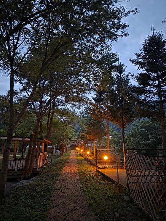 "임대료 없이 산을 빌려준다고?".. 서장훈의 이웃집 백만장자 캠핑장 어디? 평창 아트인아일....
