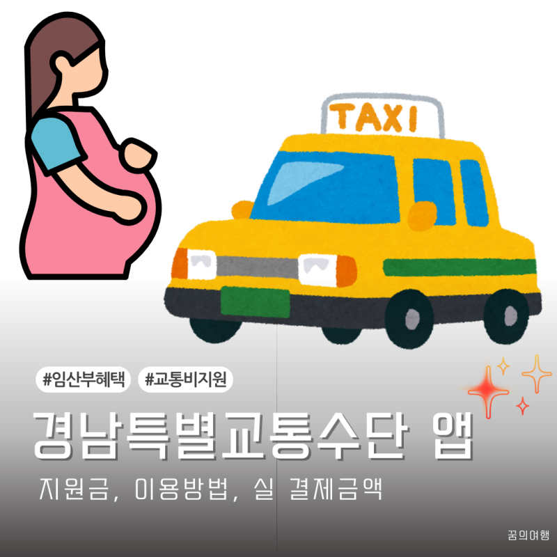 경남 창원 임산부 혜택 교통약자 바우처택시 경남특별교통수단 지원금 차감 *문의사항 추가 ....