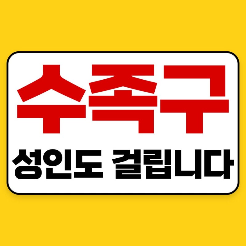 성인 수족구 초기증상 총정리｜입·손·발에 나타나는 증상과 대처법