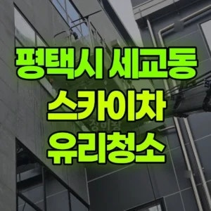 평택시 스카이차 유리청소 반나절