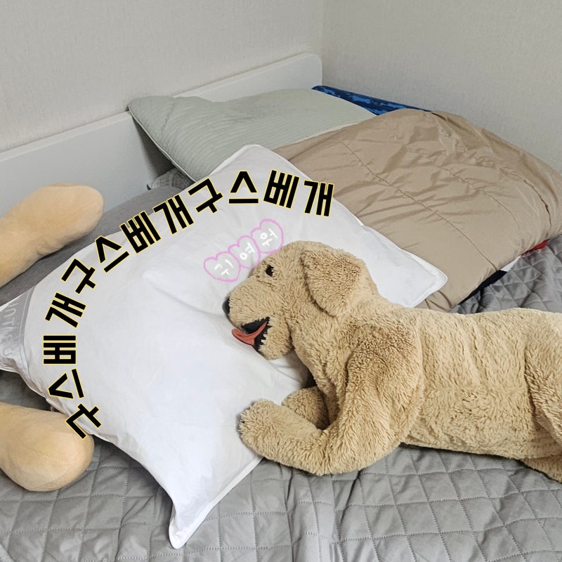바운티풀 스탠다드 호텔 구스베개 900g 사용 후기