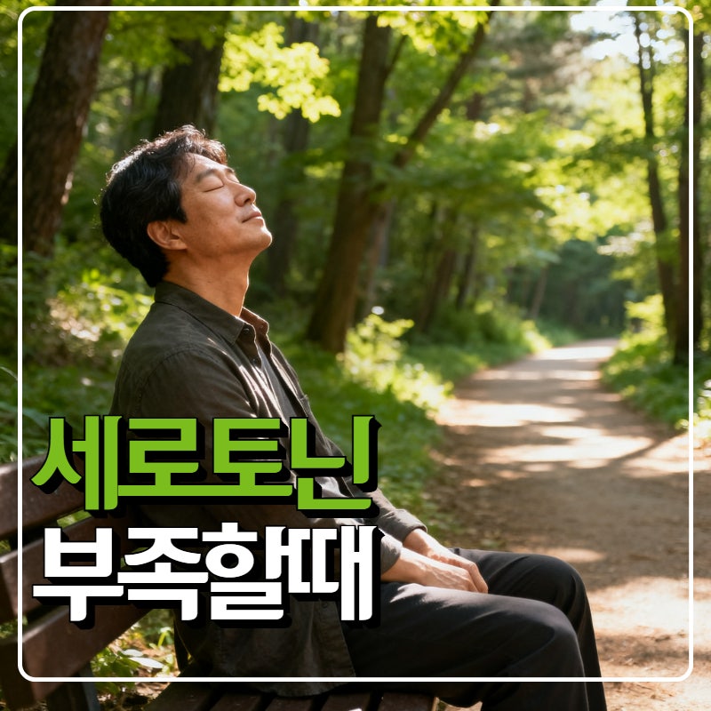 세로토닌 뜻부터 증후군·부족까지 한눈에