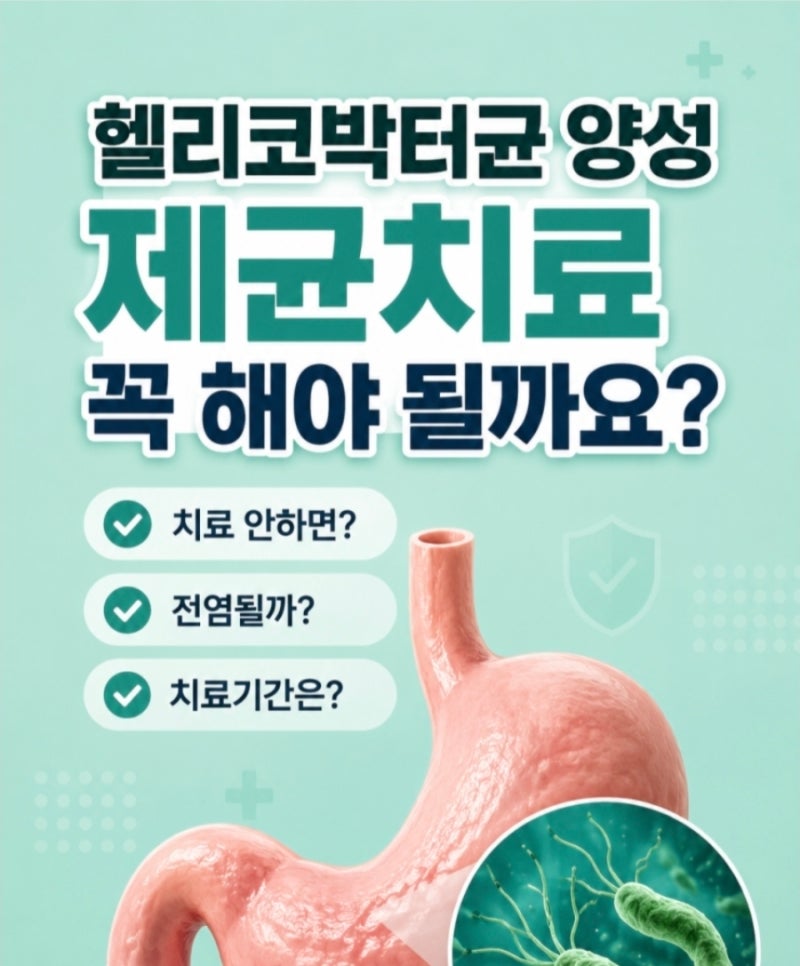 『헬리코박터균 양성, 제균치료 꼭 해야 되나요?』 치료 안하면? 원인·증상·부작용·치료기....