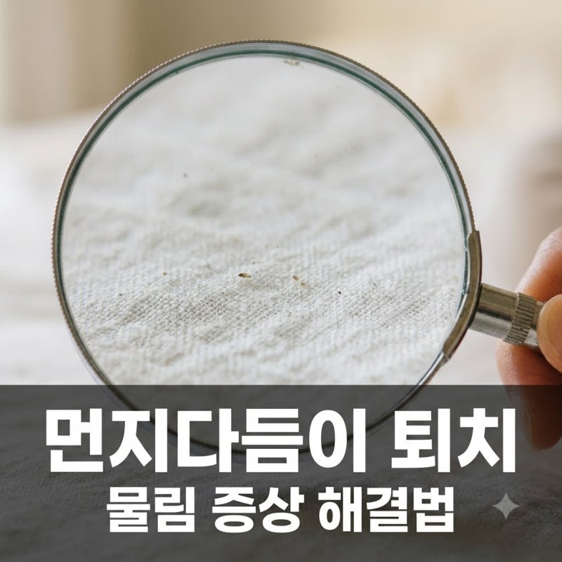 "모기인 줄 알았는데.." 자고 나면 생기는 붉은 자국, 먼지다듬이물림 정체와 퇴치법