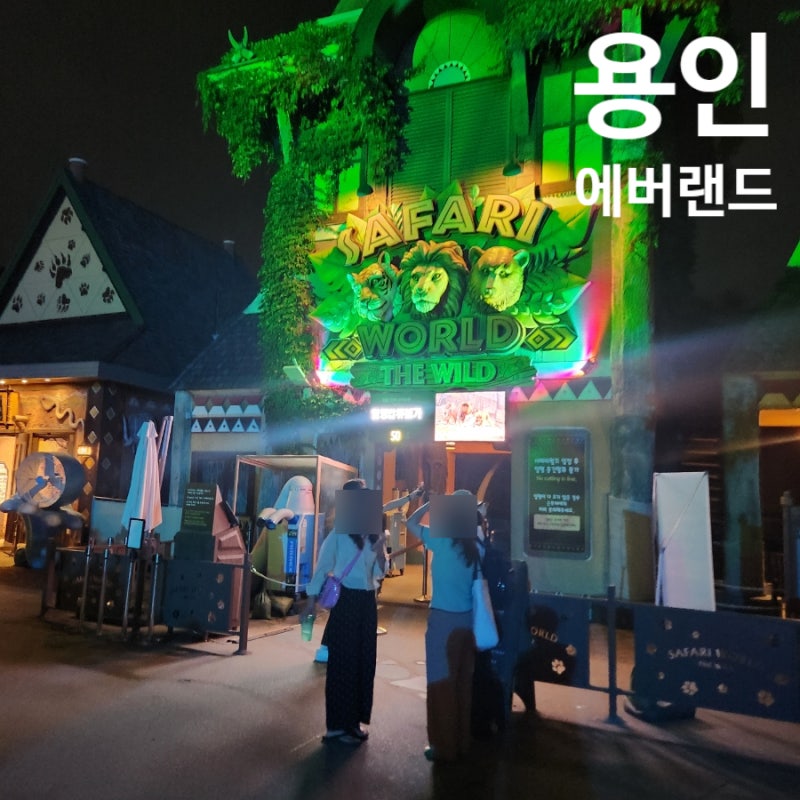 [에버랜드 야간권 방문기] 흐린 날씨 속 '더 와일드 썸머 나이트 사파리'와 야간개장 알차게 ....