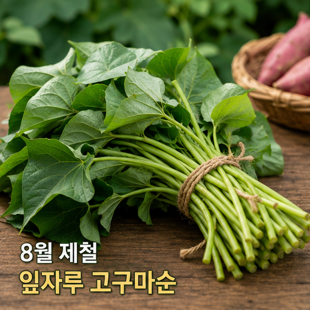 100g에 12kcal? 고구마보다 귀한 8월 제철 고구마순 효능과 손질법 4가지