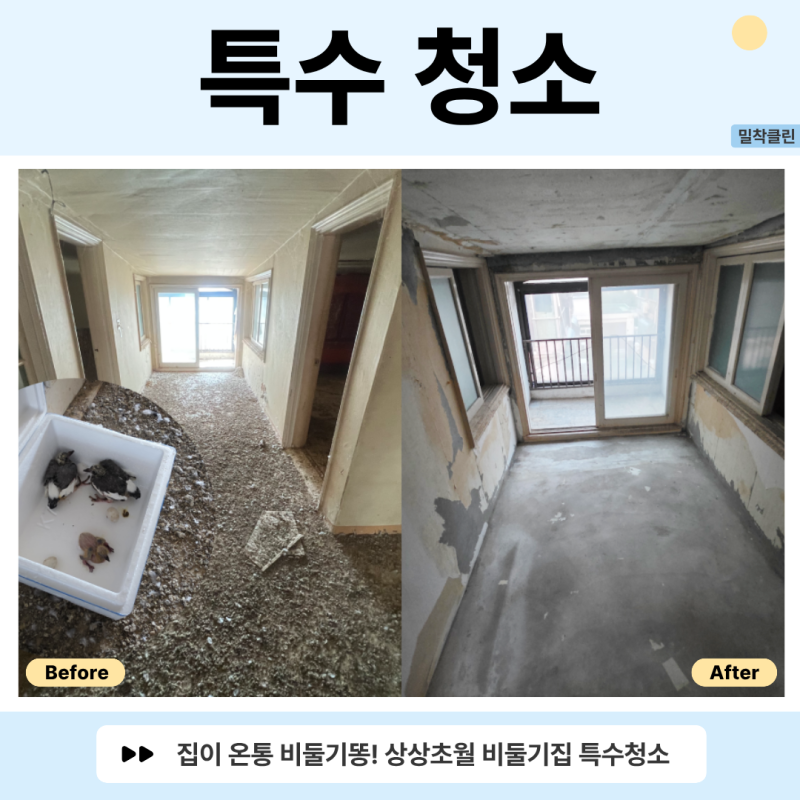 [서울 성북구 비둘기퇴치] 비둘기집 특수청소, 똥 및 악취 제거부터 새끼 구조까지 !