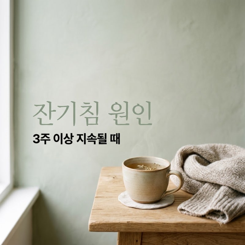 잔기침 원인 3주 넘게 지속될 때 의심 질환 3가지와 대처법