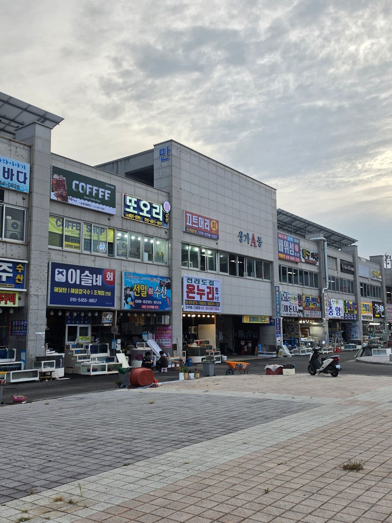 홍성맛집 - 남당항 또오리회수산