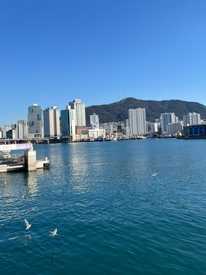 배 터지게 먹고 온 부산 남포동·깡통시장·자갈치시장 먹방 기록