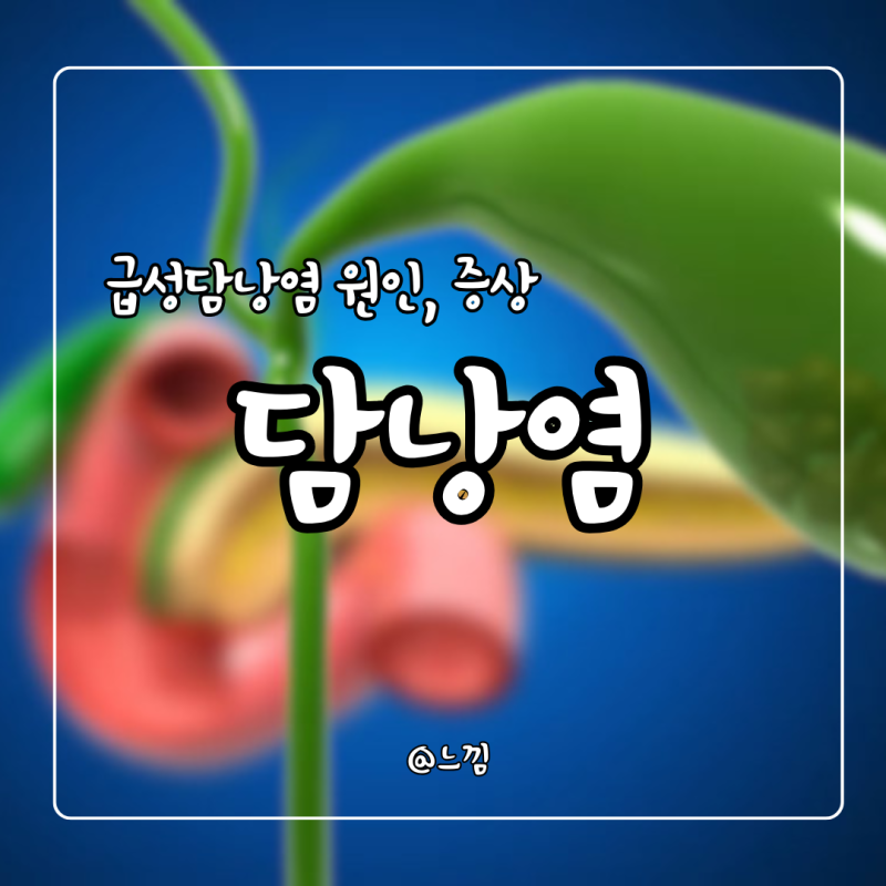담낭염 증상 원인 수술 급성담낭염 증상