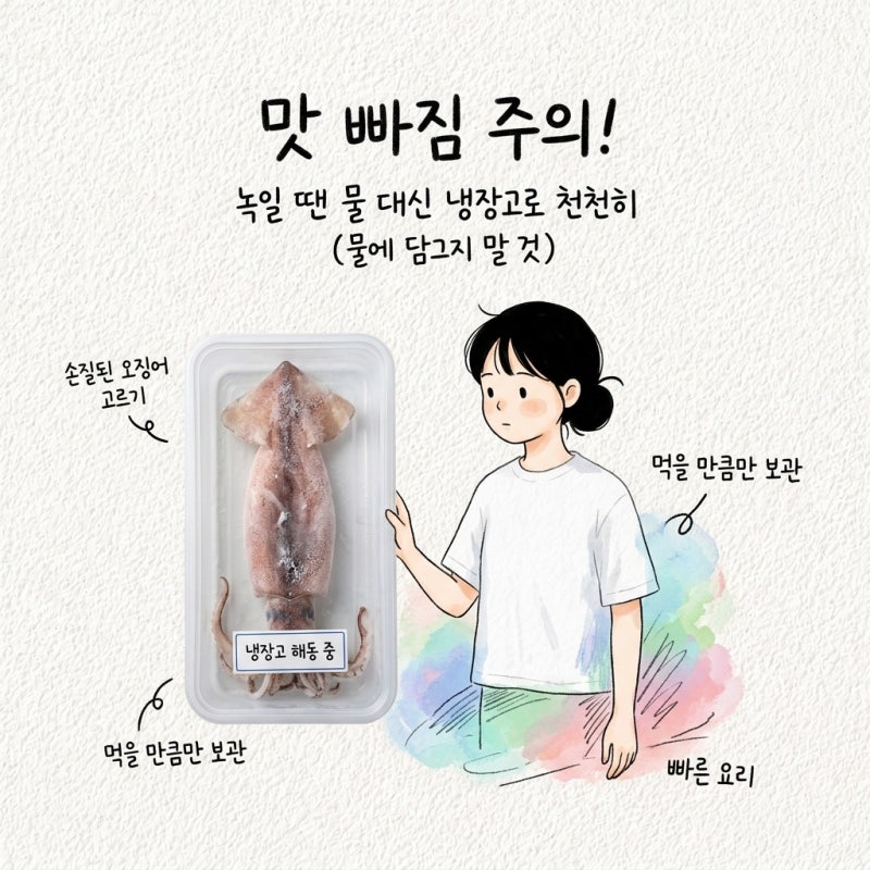 냉동오징어 해동법과 보관법 지나 손질법 요리 고르는법