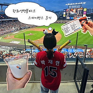 [기아 VS 한화] 260820 (목) | 대전한화생명볼파크 직관 후기 | 한화 1루 스카이박스 직관 | 한화 ....