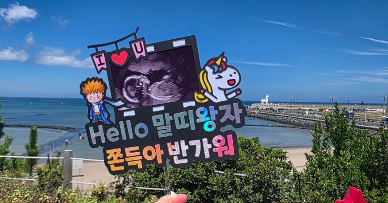 제주도 2박3일 태교여행 | DAY 1_제주도에 도착한 첫날