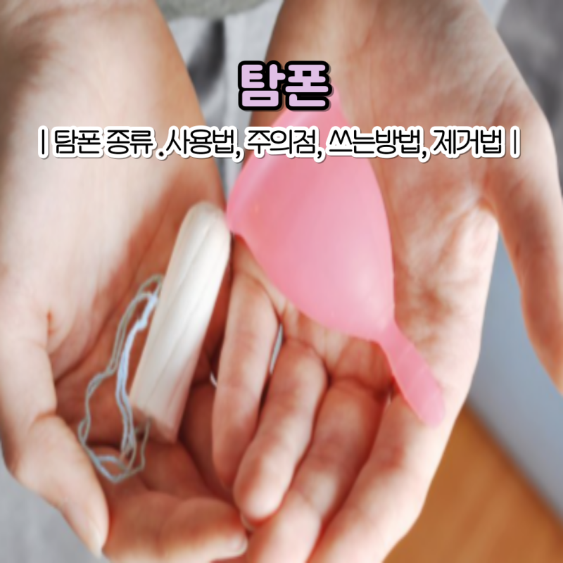초보자도 사용하기 쉽게! 탐폰 사용 방법과 주의점