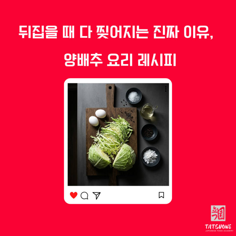 다이어트 양배추 요리 계란 레시피 저만 알고 있던 방법 대공개 몰래 아세요!