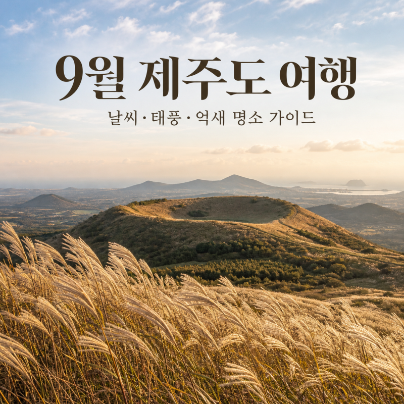 9월 제주도 여행 괜찮을까요? 날씨와 태풍 가능성부터 확인하세요