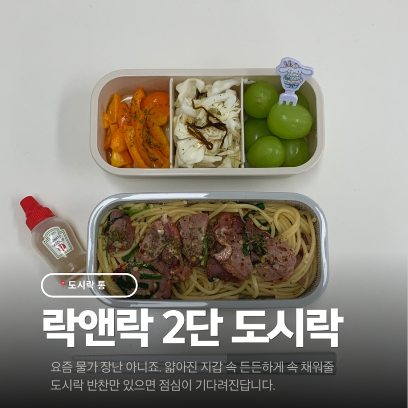 직장인 도시락통 추천｜락앤락 2단 도시락 6개월 사용 후기