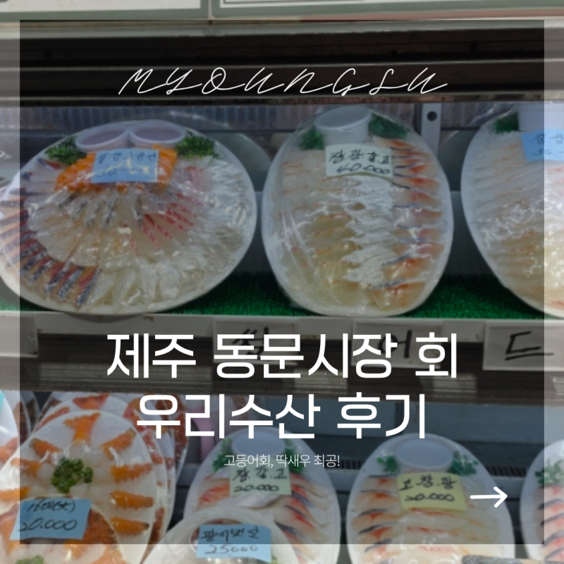 제주도 동문시장 횟집 우리수산 내돈내산 고등어회 딱새우회 먹어본 후기