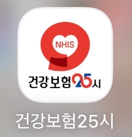 [임산부 혜택] 임신 출산 진료비 바우처 신청 방법, 사용 방법
