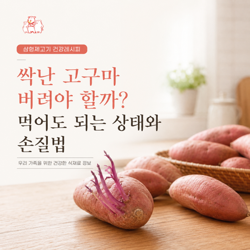 싹난 고구마 버려야 할까? 먹어도 되는 상태와 손질법