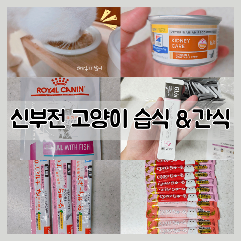 신부전 고양이 비비 ♥ 레날 간식·습식 후기 ● (야옹섬, 힐스, 로얄캐닌, 시그니처바이, 이....