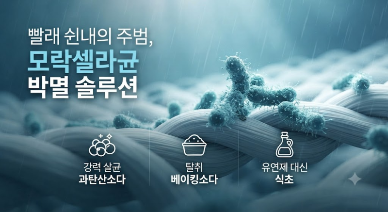 여름철·비 오는 날 빨래 냄새 완벽 제거법! 과탄산소다, 베이킹소다, 식초, 건조기 활용 가이....