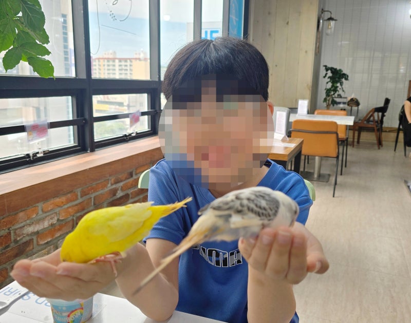 대구 실내 아이와 가볼만한 곳 ㅣ중딩도 푹 빠진 이색 앵무새카페 버드소리