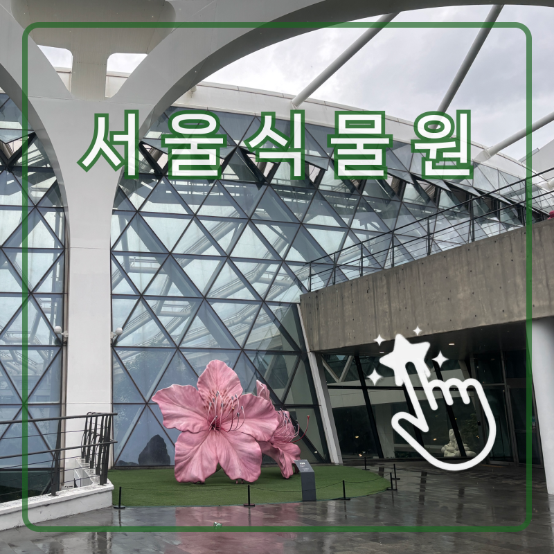 [서울 가볼만한곳] 비 오는 주말 부모님과 실내 나들이! 서울식물원 온실 후기 (feat. 무료입....