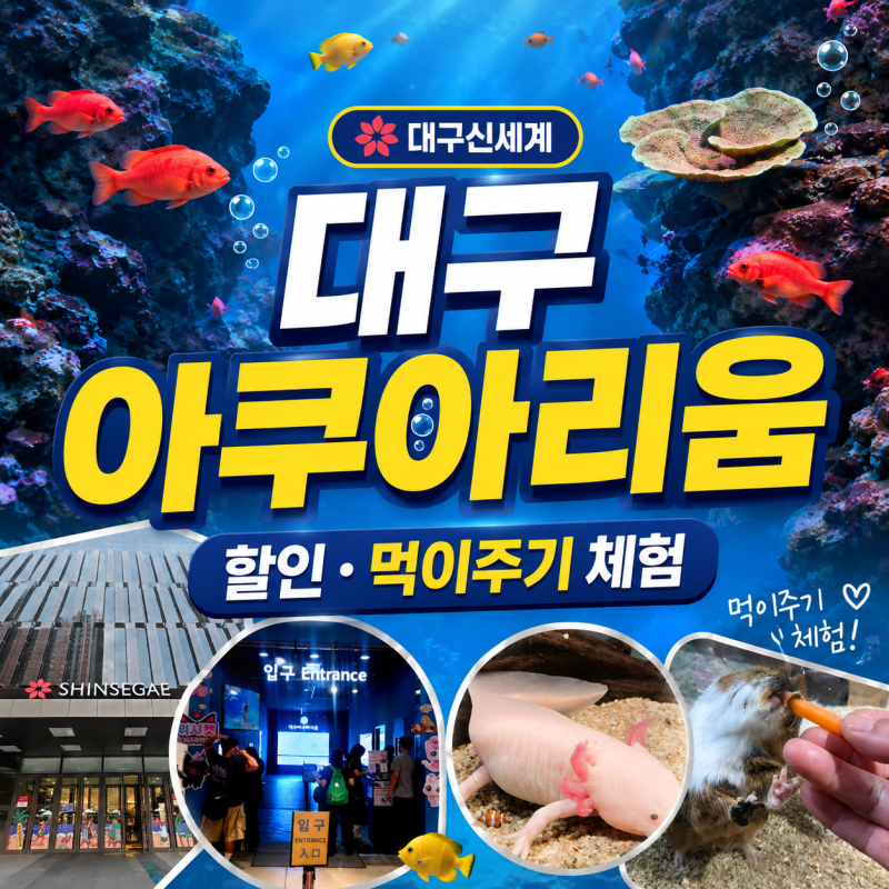 대구 신세계 아쿠아리움 할인 입장권 가격 총정리, 먹이주기 체험 후기