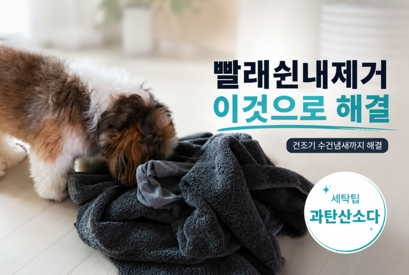 빨래쉰내제거 과탄산소다 세탁으로 건조기 수건냄새 제거하는 간단한 팁