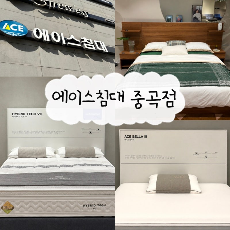 [침대] 에이스침대 중곡점｜신혼침대 투어 • 벨라3 vs 하이브리드테크7 비교 및 계약