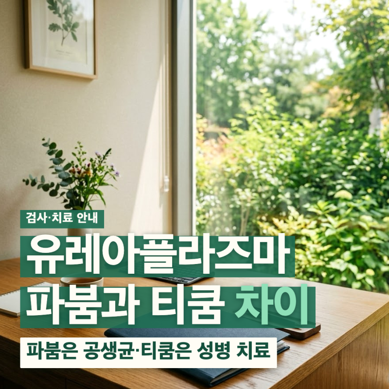 유레아플라즈마 파붐 유레아리티쿰 차이 성병 남자 증상 치료