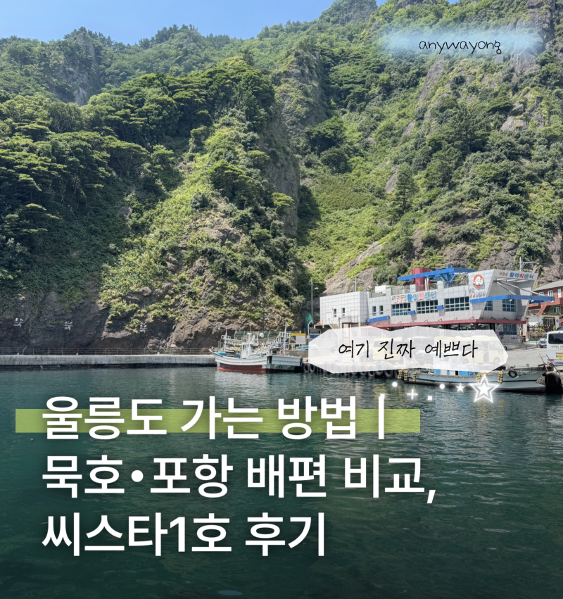 울릉도 가는 방법｜묵호·포항 배편 3가지 비교, 씨스타1호 실제 탑승 후기