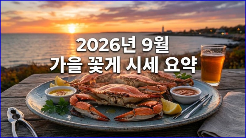 [2026년 9월 꽃게 시세 총정리] 살 꽉 찬 가을 제철 꽃게, 숫꽃게·암꽃게 가격 비교하고 호갱 ....