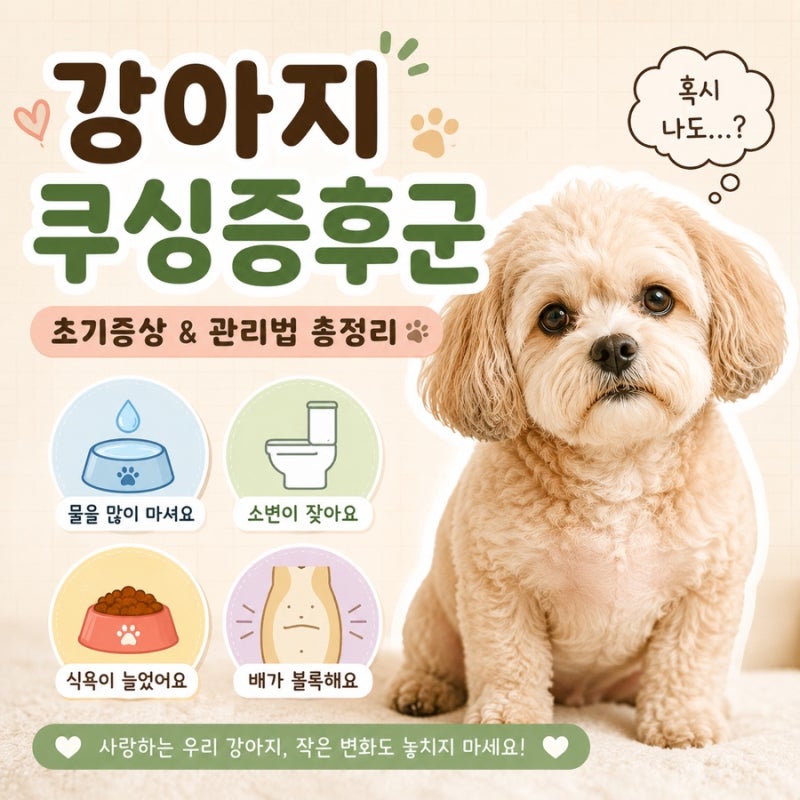 강아지쿠싱증후군 초기증상, 물 많이 마시고 배가 나온다면?