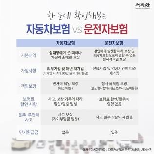 운전자보험 꼭 필요한가요? 핵심 특약 3가지와 비용 아끼는 법