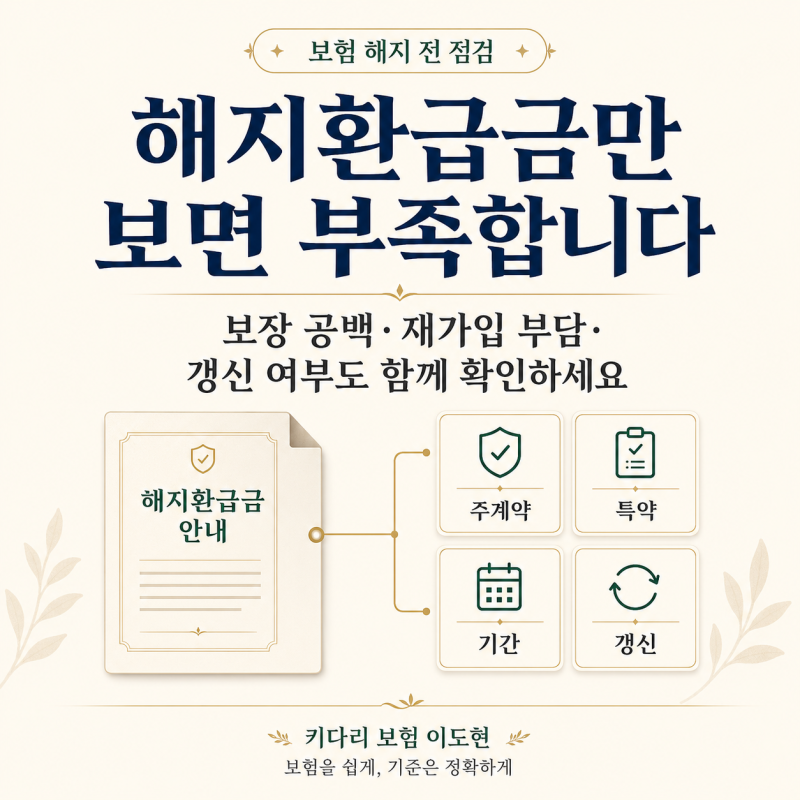 보험 해지 전, 해지환급금 외에 같이 볼 항목은?