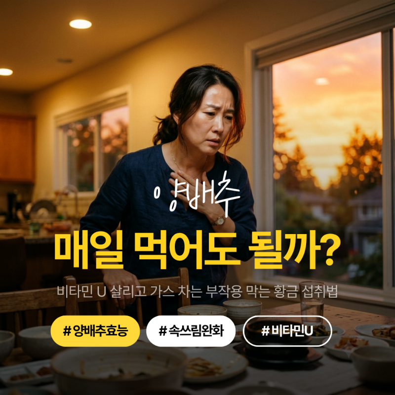 양배추 효능, 위염과 속쓰림에 매일 먹어도 될까? 비타민 U 살리고 부작용 막는 3가지 섭취법