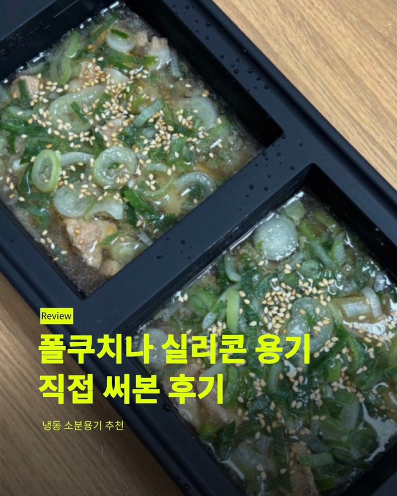 냉동 소분용기 추천 | 폴쿠치나 실리콘 용기 직접 써본 후기